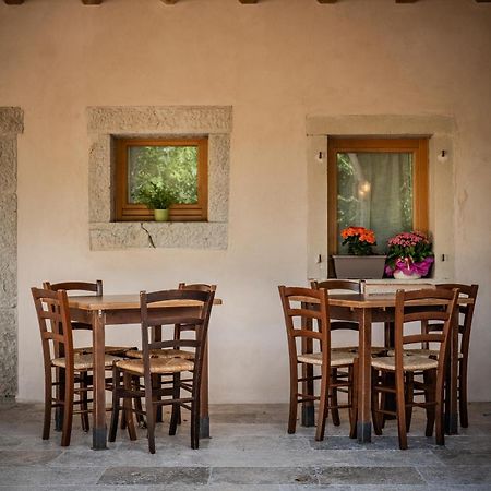 Agriturismo Il Bosco Camere Vittorio Veneto Eksteriør bilde